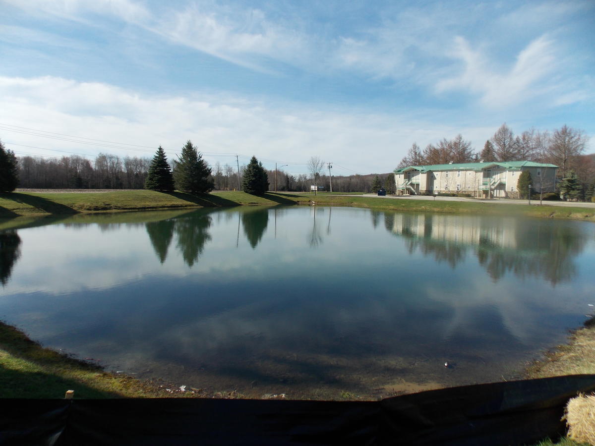 Fairway Suites At The Peak French Creek Eksteriør billede